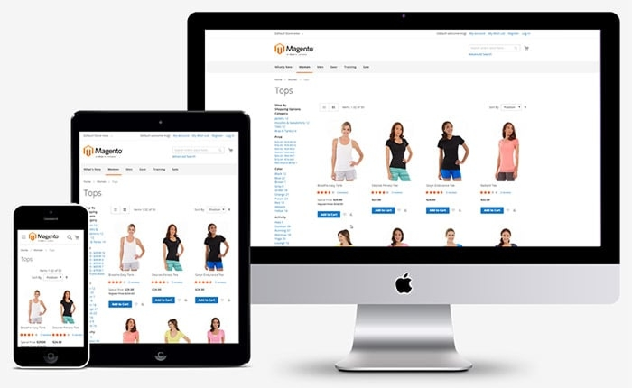 Responsive Theme Development